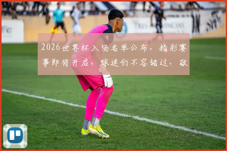 2026世界杯入场名单公布，精彩赛事即将开启，球迷们不容错过，敬请关注