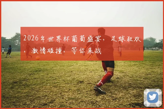 2026年世界杯葡萄盛宴，足球狂欢，激情碰撞，等你来战