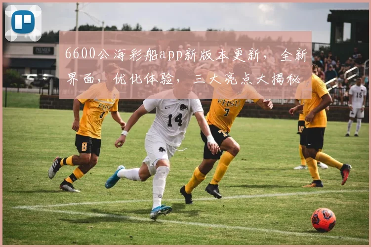6600公海彩船app新版本更新，全新界面，优化体验，三大亮点大揭秘，不容错过