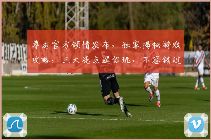 尊龙官方倾情发布，独家揭秘游戏攻略，三大亮点逗你玩，不容错过
