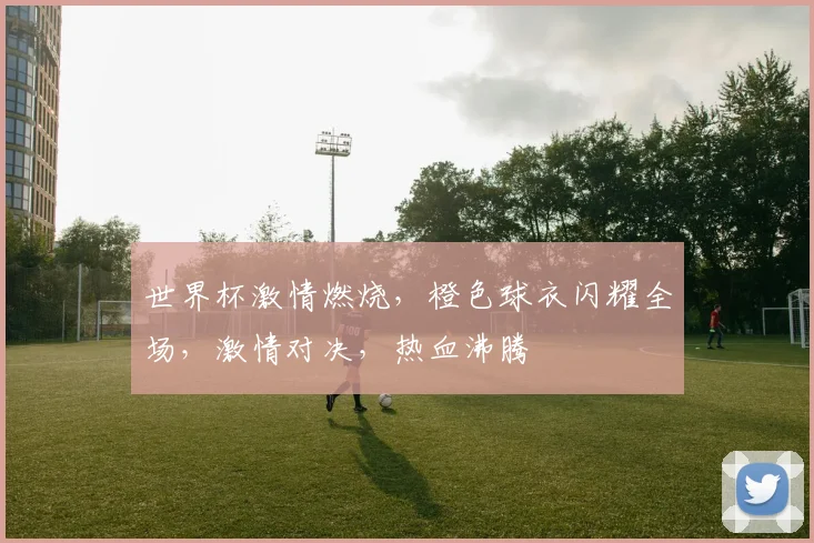 世界杯激情燃烧，橙色球衣闪耀全场，激情对决，热血沸腾