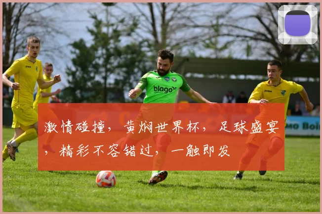 激情碰撞，黄焖世界杯，足球盛宴，精彩不容错过，一触即发